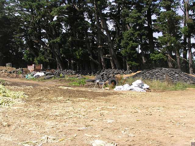 NZ leden-unor 2006 136.jpg
